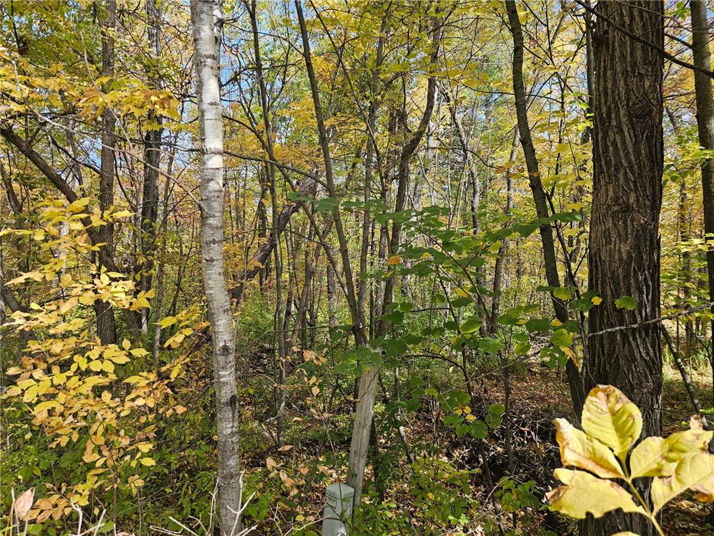 Tbd Lot 2 Bunny Lane Property Photo 1
